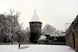 Winterimpressie_15