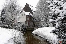 Winterimpressie_25